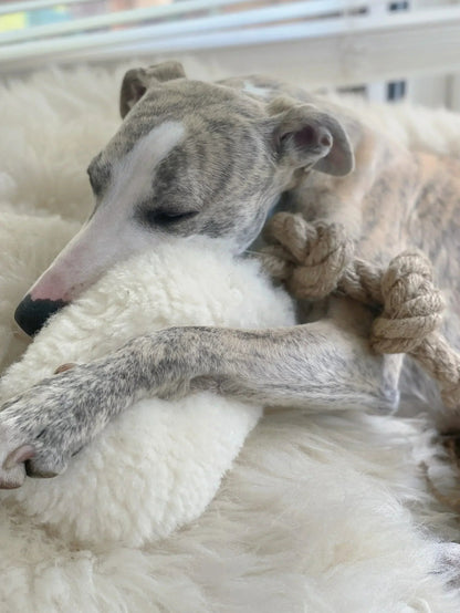 Natürliches Zerrspielzeug für Hunde aus Wolle - Beige