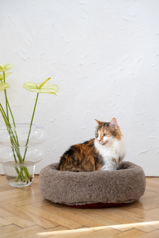 Rundes Haustierbett aus Naturwolle – Beige