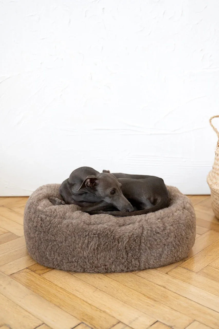 Ovales Haustierbett aus natürlicher Wolle – Beige