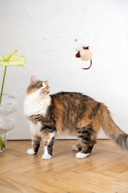 Katzenspielzeug aus natürlichem Schaffell: Maus